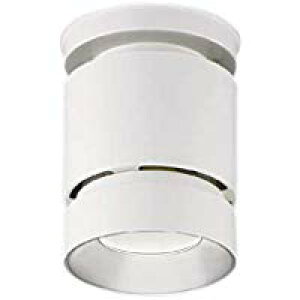 RCY~Ɩ XH91163L LEDV[O_ECg OAJbg15° F 35° HID150W 10000/8000lmNX Ή {ݏƖ VƖ