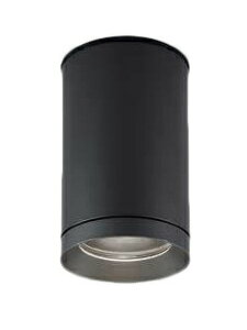 RCY~Ɩ XU48057L {ݏƖ LEDGNXeAV[O_ECg x[X^Cv JR12V50W 1000lmNX F 񒲌