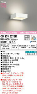 I[fbN OB255257BR LED^uPbgCg FLAT PLATE [tbgv[g] R15F NX2 M100W CONNECTED LIGHTING LC-FREE EF BluetoothΉ ㉺z Ɩ ǖʎtp