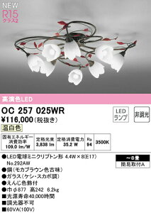 I[fbN OC257025WR LEDVfA 8p R15F NX2 F 񒲌 Ɩ VƖ rO y`8z