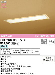 I[fbN OD266030R2B LEDax[XCg R15F NX2 FLR40W×2 V䖄 F 񒲌 Ɩ a VƖ
