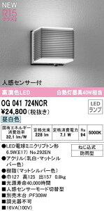 I[fbN OG041724NCR GNXeA lZT[tLED|[`Cg R15F NX2 M40W F 񒲌 hJ^ Ɩ Op  GgX