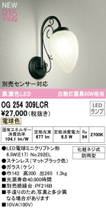 I[fbN OG254309LCR GNXeA LED|[`Cg R15F NX2 M60W ʔZT[Ή dF hJ^ Ɩ ցE Op
