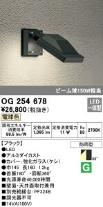 I[fbN OG254678 GNXeA LEDX|bgCg  r[150W dF 񒲌 hJ^ Ɩ Ŕ CgAbvpƖ O ǖʁEVʎtp