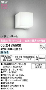 I[fbN OG254797NCR GNXeA lZT[tLED|[`Cg R15F NX2 M60W F 񒲌 hpbLX hJ^ Ɩ  Op