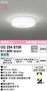 I[fbN OG254873R LEDoX[Cg  ^ESz^Cv M100W R15F NX2 F 񒲌 Ɩ hJEh^ VtEǕtp p