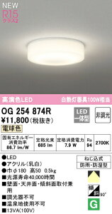 I[fbN OG254874R LEDoX[Cg  ^ESz^Cv M100W R15F NX2 dF 񒲌 Ɩ hJEh^ VtEǕtp p