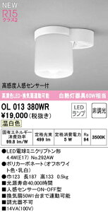 I[fbN OL013380WR LED^V[OCg(gCp/CA^) R15F NX2 M60W F 񒲌 xlZT[ON-OFF^ Ɩ VƖ