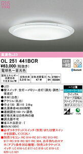 I[fbN OL251441BCR LEDV[OCg 12p R15F CONNECTED LIGHTING LC-FREE EF BluetoothΉ Ɩ VƖ  rO   y`12z
