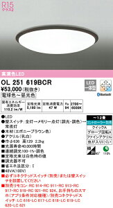 I[fbN OL251619BCR LEDV[OCg 12p R15F CONNECTED LIGHTING LC-FREE EF BluetoothΉ Ɩ VƖ  rO  Vv y`12z