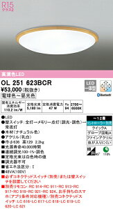 I[fbN OL251623BCR LEDV[OCg 12p R15F CONNECTED LIGHTING LC-FREE EF BluetoothΉ Ɩ VƖ  rO  Vv y`12z