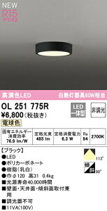 I[fbN OL251775R LEDV[OCg FLAT PLATE [tbgv[g] R15F NX2 dF 񒲌 M60WNX Ɩ VƖ ցEL Ǖt uPbg