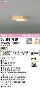 I[fbN OL251789R LEDaV[OCg FLAT PLATE [tbgv[g] M60W R15F NX2 dF LC Ɩ ǖʁEVʁEXΖʎtp LEKiȂǂ