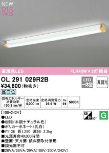 I[fbN OL291029R2B LEDLb`x[XCg FLR40W×2 R15F NX2 F 񒲌 Ɩ ǖʁEVʁEXΖʎtp V[O uPbg