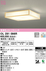 I[fbN OL291096R LEDaV[OCg 12p R15F NX2 LC-FREE EF Ɩ a VƖ CeAƖ y`12z
