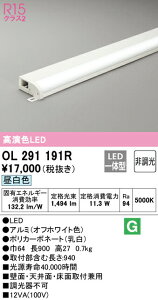 I[fbN OL291191R LEDԐڏƖ ^^CviȈՖtj R15F NX2 900 񒲌 F Ɩ  ǖʁEVʁEʎtp