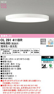 I[fbN OL291411BR LEDV[OCg FLAT PLATE [tbgv[g] R15F NX2 12p ȈՎt^ CONNECTED LIGHTING LC-FREE EF BluetoothΉ Ɩ VƖ rO y