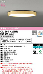 I[fbN OL291427BR LEDV[OCg FLAT PLATE [tbgv[g] R15F NX2 8p NCbNt^ CONNECTED LIGHTING LC-FREE EF BluetoothΉ Ɩ VƖ rO 