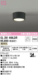 I[fbN OL291449LDR LED^V[OCg R15F M60W dF 񒲌 Ɩ  L VƖ Ǖt uPbg