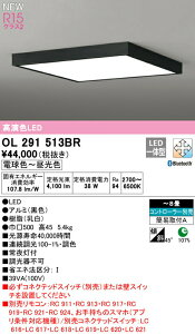 I[fbN OL291513BR LEDV[OCg FLAT PLATE [tbgv[g] R15F NX2 8p ȈՎt^ CONNECTED LIGHTING LC-FREE EF BluetoothΉ dCHsv Ɩ VƖ r