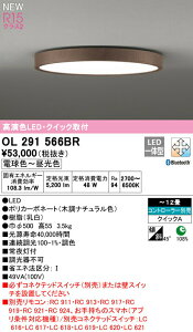 I[fbN OL291566BR LEDV[OCg FLAT PLATE [tbgv[g] R15F NX2 12p NCbNt^ CONNECTED LIGHTING LC-FREE EF BluetoothΉ Ɩ VƖ rO 