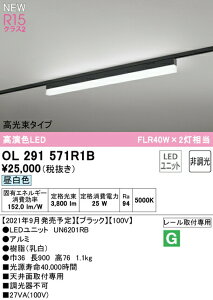 I[fbN OL291571R1B LEDx[XCg SOLID LINE SLIM R15F NX2 [t^ 900mm ^Cv F 񒲌 FLR40W×2 Ɩ Vʎtp