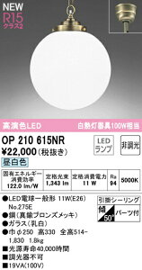 I[fbN OP210615NR LEDy_gCg R15F NX2 M100W F 񒲌 dCHsv Ɩ VƖ ݉
