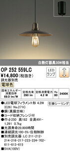 �I�[�f���b�N OP252559LC LED�y���_���g���C�g �t�����W�^�C�v ���M��30W���� ������ �d���F �d�C�H���s�v �Ɩ���� �݉��� �C���e���A�Ɩ�