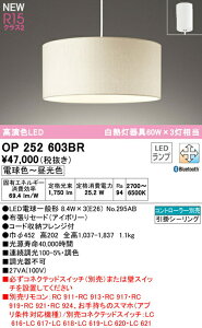 �I�[�f���b�N OP252603BR LED�y���_���g���C�g R15�����F �N���X2 ���M�����60W×3������ CONNECTED LIGHTING LC-FREE �����E���F Bluetooth�Ή� ���|�V�[�����O��t �Ɩ���� �V��Ɩ� �݉���