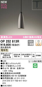 �I�[�f���b�N OP252813R LED�y���_���g���C�g R15�����F �N���X2 ���M�����60W���� �v���O�^�C�v �d���F LC���� �d�C�H���s�v �Ɩ���� �V��Ɩ� �݉���