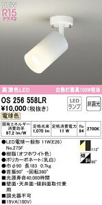 I[fbN OS256558LR LEDdX|bgCg E17 R15F NX2 M100W tW^Cv 112°gUz dF 񒲌 Ɩ ǖʁEVʁEXΖʎtp