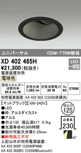 �I�[�f���b�N XD402485H LED���j�o�[�T���_�E�����C�g �{�́i�[�^�j PLUGGED�V���[�Y COB�^�C�v 41°�g�U�z�� ������125 �d���F C2500 CDM-T70W�N���X �Ɩ���� �V��Ɩ�