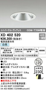 �I�[�f���b�N XD402520 LED�O���A���X ���j�o�[�T���_�E�����C�g �{�� PLUGGED�V���[�Y COB�^�C�v 32°���C�h�z�� ������125 ���F C2500 CDM-T70W�N���X �Ɩ���� �V��Ɩ�