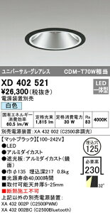 �I�[�f���b�N XD402521 LED�O���A���X ���j�o�[�T���_�E�����C�g �{�� PLUGGED�V���[�Y COB�^�C�v 32°���C�h�z�� ������125 ���F C2500 CDM-T70W�N���X �Ɩ���� �V��Ɩ�