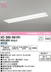 I[fbN XD566091R1 ǌ`LEDvpx[XCg LED-TUBE R15F NX2 40` ^ ʊJ^ W220 2p Hf32Wio×2 БdEБz G13 񒲌 F 
