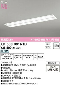 I[fbN XD566091R1B ǌ`LEDvpx[XCg LED-TUBE R15F NX2 40` ^ ʊJ^ W220 2p Hf32Wio×2 БdEБz G13 񒲌 F 