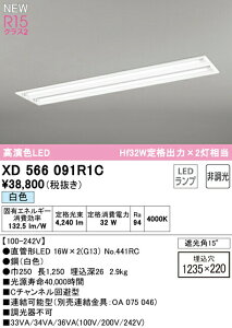�I�[�f���b�N XD566091R1C ���������ǌ`LED�����v��p�x�[�X���C�g LED-TUBE R15�����F �N���X2 40�` �����^ ���ʊJ���^ W220 2���p Hf32W��i�o��×2������ �Б����d�E�Б��z�� G13���� �񒲌� ���F �Ɩ�