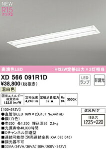 I[fbN XD566091R1D ǌ`LEDvpx[XCg LED-TUBE R15F NX2 40` ^ ʊJ^ W220 2p Hf32Wio×2 БdEБz G13 񒲌 F 