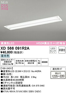 I[fbN XD566091R2A ǌ`LEDvpx[XCg LED-TUBE R15F NX2 40` ^ ʊJ^ W220 2p Hf32Wo×2 БdEБz G13 񒲌 F Ɩ