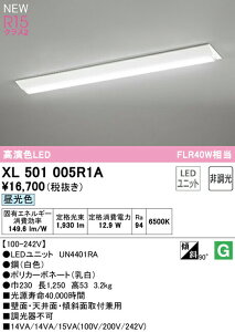 オーデリック XL501005R1A LEDベースライト LED-LINE R15高演色 クラス2 直付型 逆富士型(幅230) 40形 2000lmタイプ FLR40W×1灯相当 非調光 昼光色6500K 照明器具 壁面・天井面・傾斜面取付兼用 店舗・施設