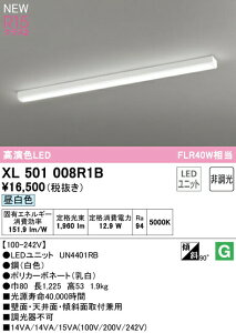 オーデリック XL501008R1B LEDベースライト LED-LINE R15高演色 クラス2 直付型 トラフ型 40形 2000lmタイプ FLR40W×1灯相当 非調光 昼白色5000K 照明器具 壁面・天井面・傾斜面取付兼用 店舗・施設向け 天