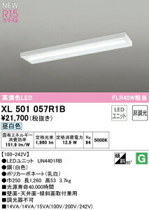 オーデリック XL501057R1B LEDベースライト LED-LINE R15高演色 クラス2 直付型 ボックスタイプ 40形 2000lmタイプ FLR40W×1灯相当 非調光 昼白色5000K 照明器具 壁面・天井面・傾斜面取付兼用 店舗・施設