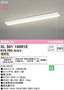 オーデリック XL501105R1E LEDベースライト LED-LINE R15高演色 クラス2 直付型 逆富士型(幅230 プルスイッチ付) 40形 2000lmタイプ FLR40W×1灯相当 非調光 電球色3000K 照明器具 天井照明 店舗・施設向け