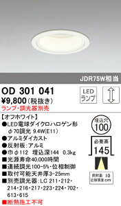 I[fbN OD301041 LEDd E11 _ECg M`iʌ^j 100 JDR75WNX ̂ ʑΉ Ɩ VƖ