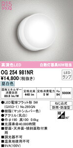 I[fbN OG254981NR GNXeA LED|[`Cg R15F NX2 M60W F 񒲌 hJEh^ Ɩ  Op ǖʁEVʁEXΖʎtp