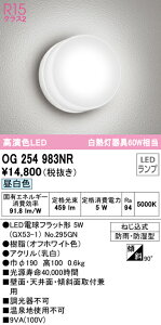 I[fbN OG254983NR GNXeA LED|[`Cg R15F NX2 M60W F 񒲌 hJEh^ Ɩ  Op ǖʁEVʁEXΖʎtp