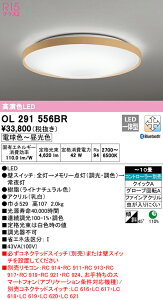 I[fbN OL291556BR LEDV[OCg 10p R15F NX2 CONNECTED LIGHTING LC-FREE EF BluetoothΉ Ɩ VƖ rO y`10z
