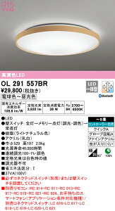 I[fbN OL291557BR LEDV[OCg 8p R15F NX2 CONNECTED LIGHTING LC-FREE EF BluetoothΉ Ɩ VƖ rO y`8z