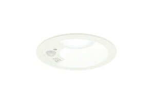 ���I�[�f���b�N OD361460R LED�x�[�X�_�E�����C�g Q�V���[�Y ���C��SB�` ��������100 �l���Z���T�[�t ���M�����60W�N���X R15�����F �N���X2 �����F �񒲌� �Ɩ���� �V��Ɩ�