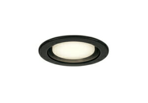 ���I�[�f���b�N OD361510LDR LED�x�[�X�_�E�����C�g ���ω΍\�����Ή� ���C��SB�` ��������100 ���M��100W���� R15�����F �N���X2 110°�g�U�z�� �d���F �񒲌� �Ɩ����